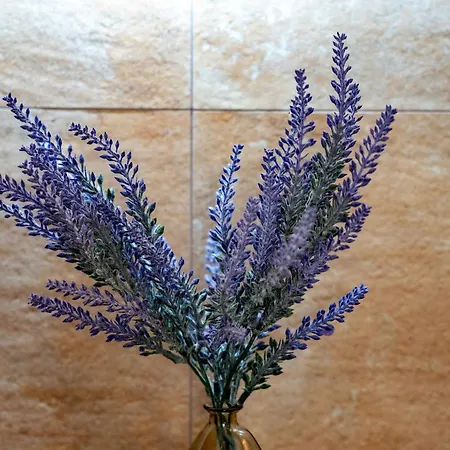 Ośrodek wypoczynkowy Complejo Valle Grande Zarza La Mayor