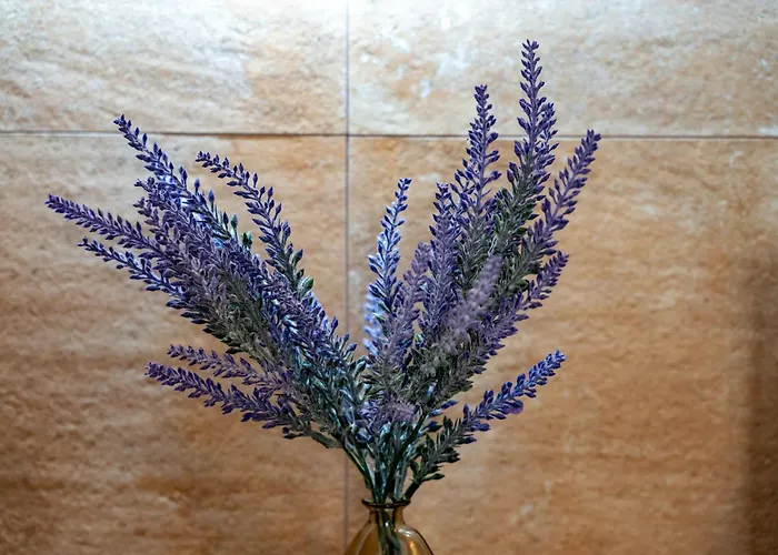 Resort Complejo Valle Grande Zarza La Mayor